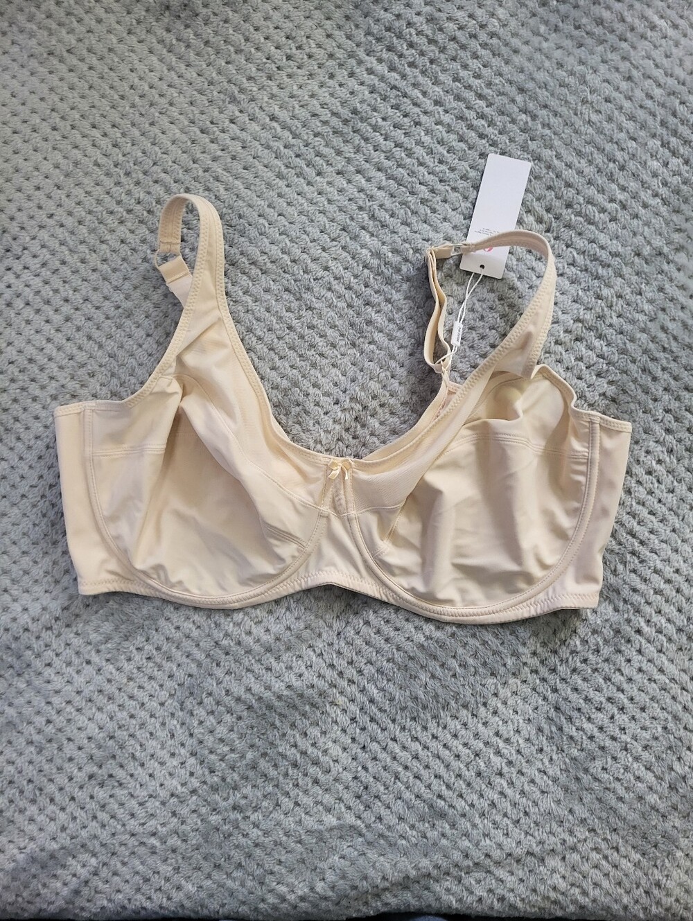 Nwt Ailivin Full Coverage Cream Bra in 42H‎